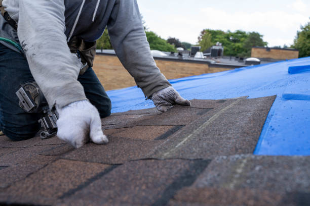 Quick and Trustworthy Emergency Roof Repair Services in Victory Lakes, NJ